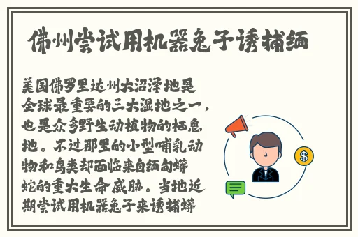 菠萝菠萝蜜免费视频