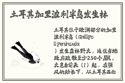 9.幺1.09版本